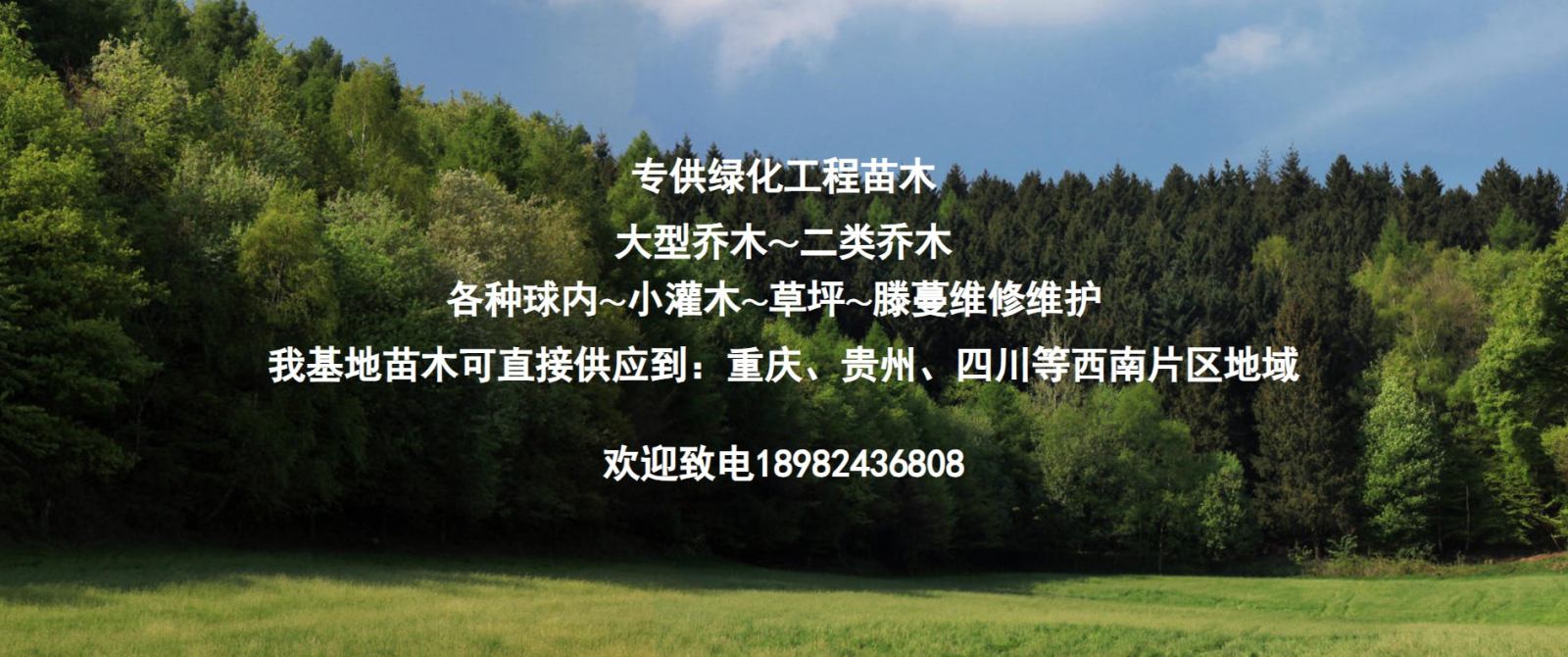 热烈祝贺新网站上线！